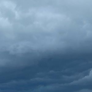 Meet your Posher, Arianna